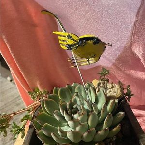 I thought I saw a puddytat